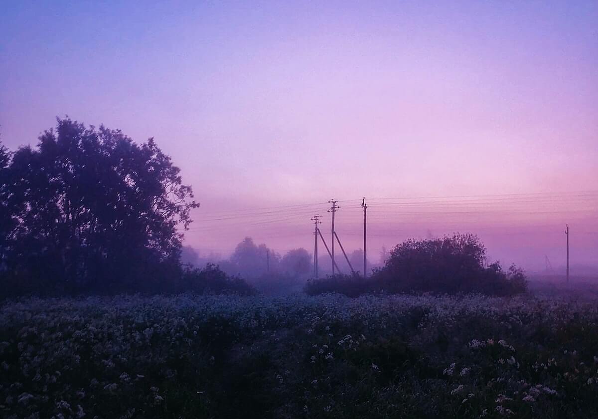 福特赛车部正式启用全新标识